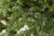 Искусственная ель «Нормандия» 305 см темно-зеленая, Triumph Tree