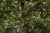 Искусственная ель «Королевская премиум FULL PE» 185 см зеленая, Triumph Tree