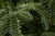 Искусственная ель «Нормандия стройная» 185 см темно-зеленая, Triumph Tree